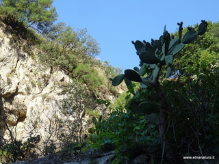 stoleone-09-08-2020 09
